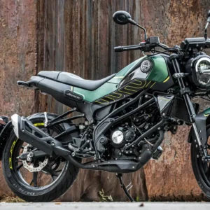 Moto leoncino comprar